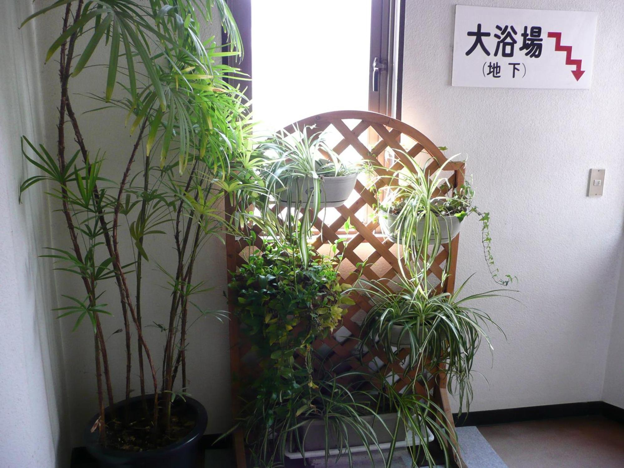 Seisenso Hotel Nozawaonsen Bagian luar foto